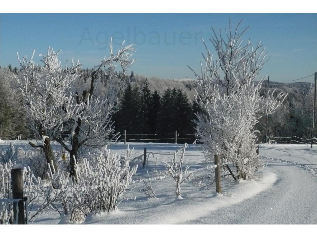 Agelbauer Apartment เอียร์เชนแบร์ก ภายนอก รูปภาพ